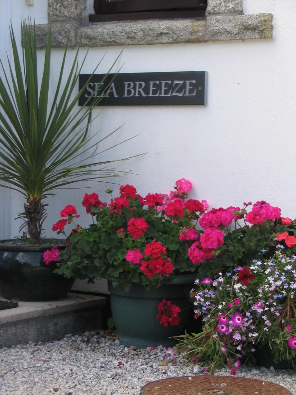 Sea Breeze Bed and Breakfast St Ives Exteriör bild